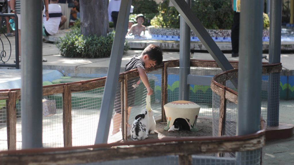 Animal Corner Grand Rohan Jogja